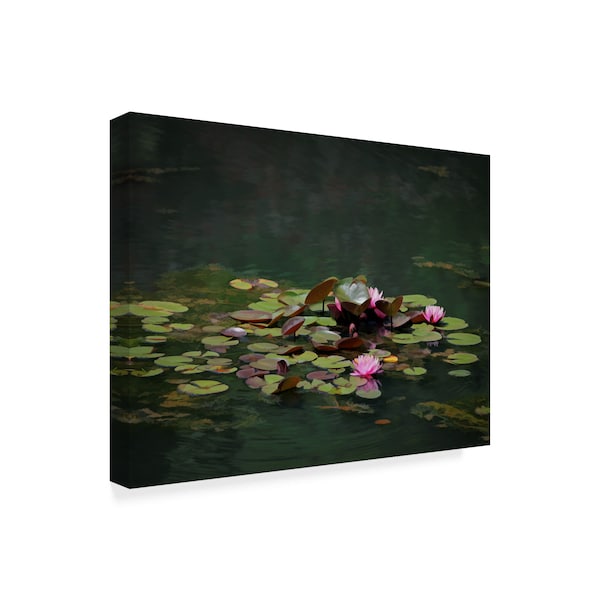 J.D. Mcfarlan 'Water Lillies' Canvas Art,35x47